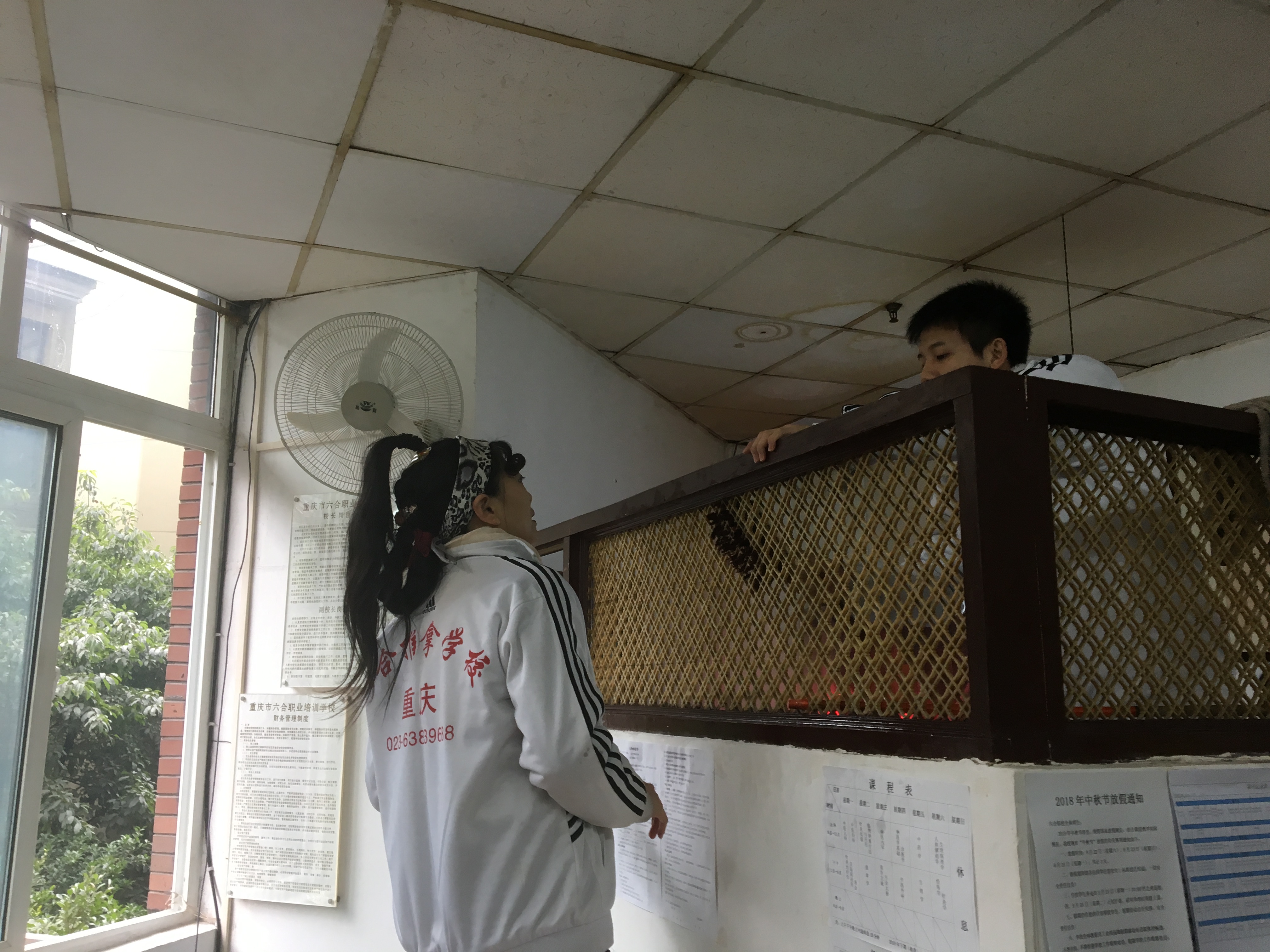 重慶六合學校