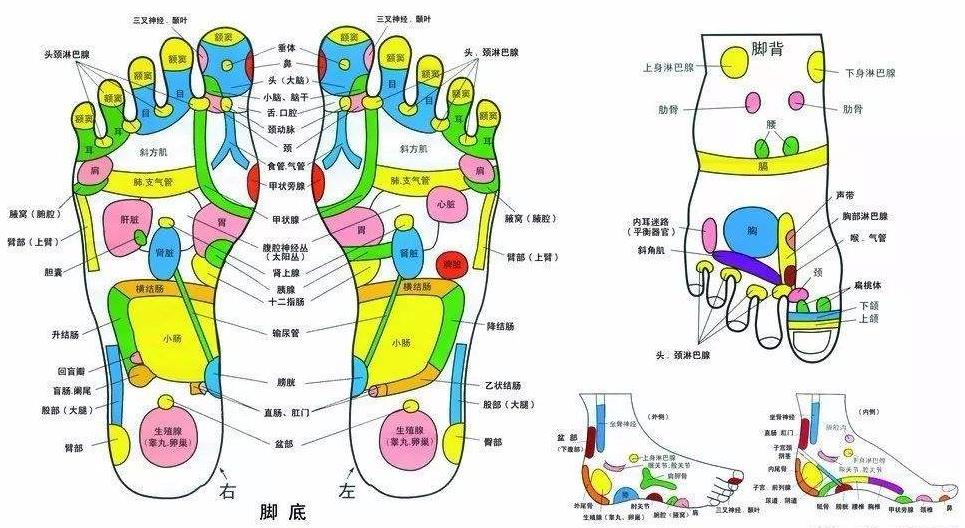 [重慶足療培訓]足底按摩不慎會傷胃！