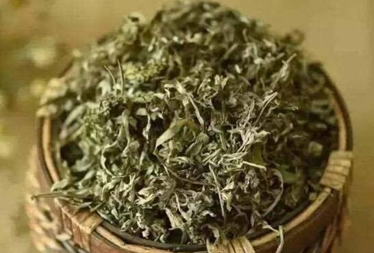 中醫培訓學校帶你認識艾葉艾絨和艾條