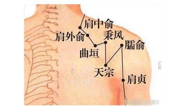推拿調理頸椎問題，掌握這2個穴位