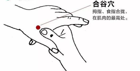 推拿培訓學校：冬季按摩四大穴位能增強抵抗力