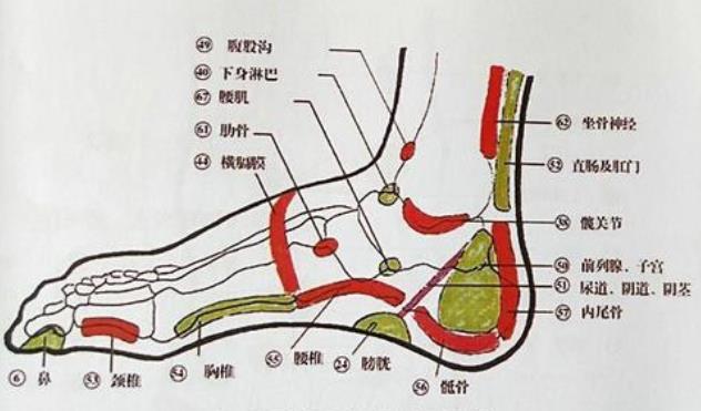 重慶專業(yè)反射療法培訓(xùn)學(xué)校哪家好？