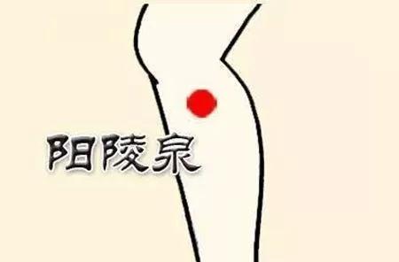 如何去除濕氣？不妨試試按摩這些穴位
