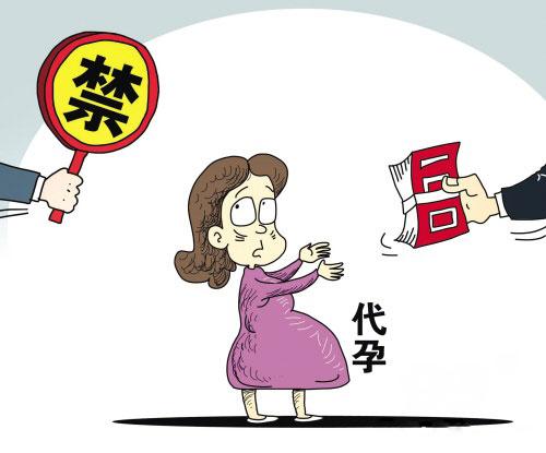 比起吃瓜娛樂(lè)圈代孕棄養(yǎng)事件，這個(gè)群體更值得關(guān)注