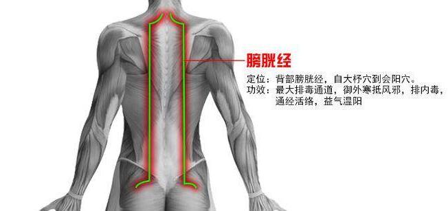 推拿培訓學校分享經絡養生小妙招
