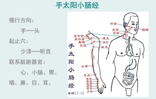 推拿培訓學校分享經絡養生小妙招