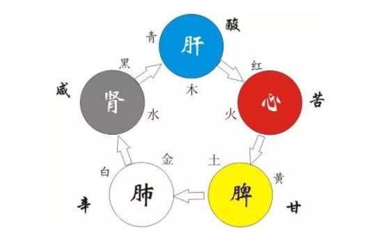 調(diào)養(yǎng)五臟該怎么做？中醫(yī)分享調(diào)養(yǎng)五臟的方法
