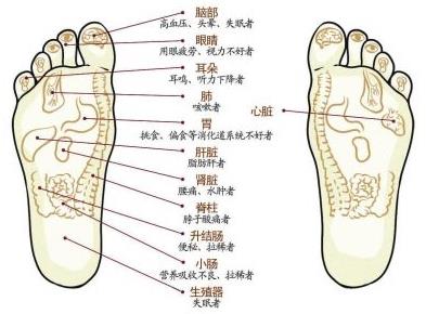 http://www.dgfulitong.cn/